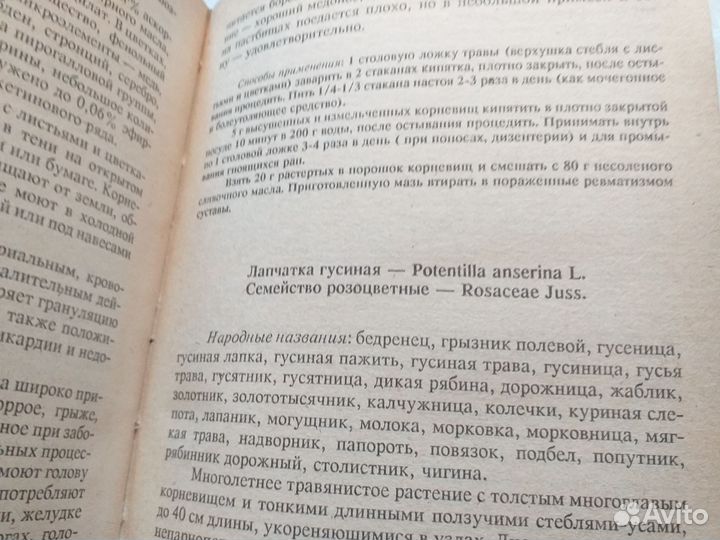 А.А.Махов.Зеленая аптека.Лекарств. растения Сибири