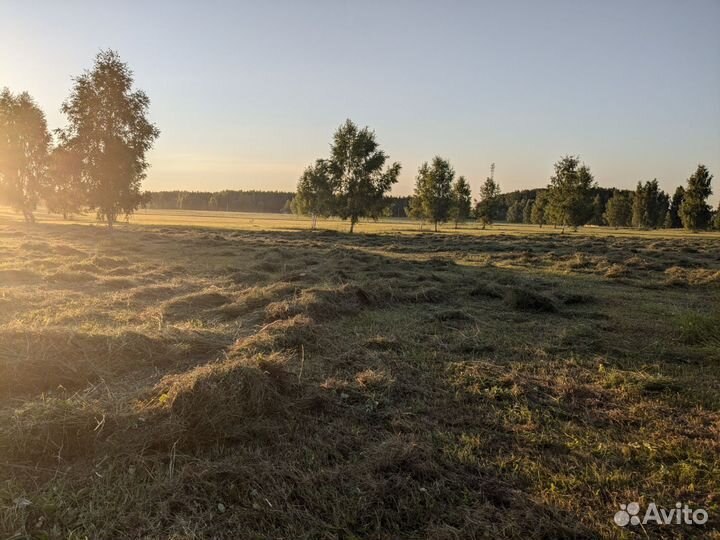 Сено в рулонах