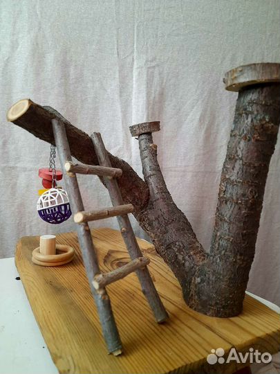 Игровая площадка для попугаев