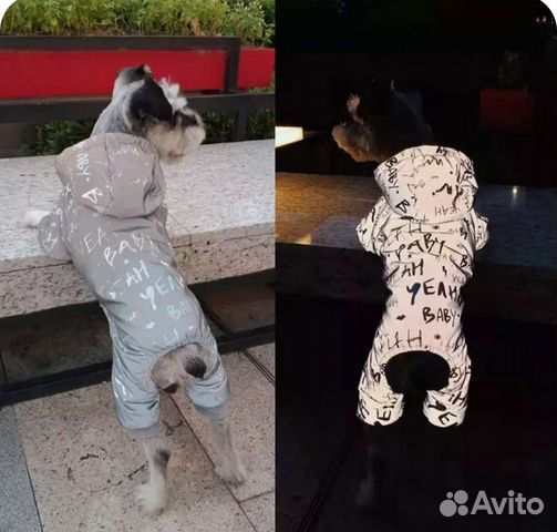 Комбинезон одежда для собаки