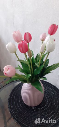 Цветы тюльпаны