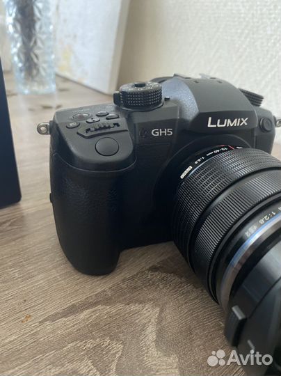 Panasonic lumix gh5