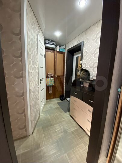 1-к. квартира, 30,2 м², 1/5 эт.