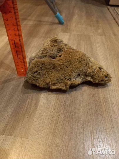 Камень ракушечник