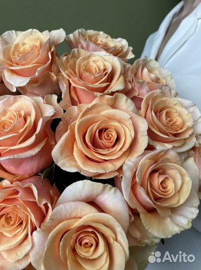 Цветы Розы Букет, Букет Цветов, Букет «Тофи»