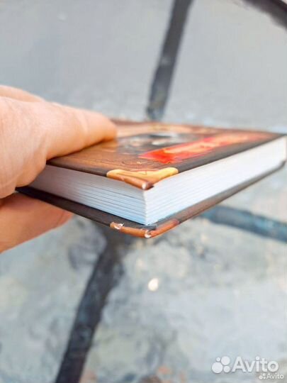 Коты воители Огонь и лёд Эрин Хантер