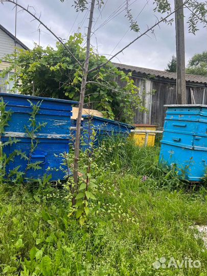 Ульи с пчëлами