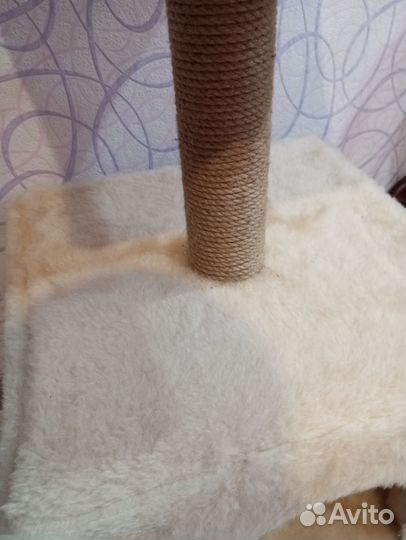 Когтеточка