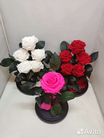 Роза в колбе