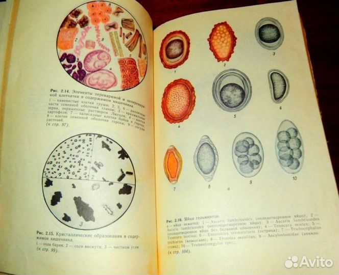 Клиническая медицина. Руководство