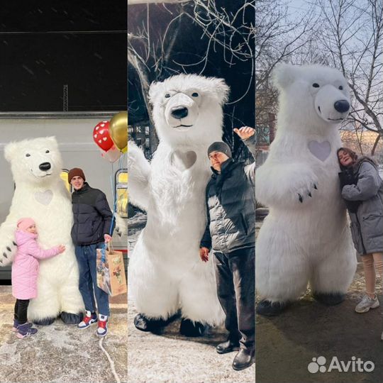 Белый мишка поздравление, организация праздников