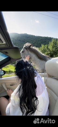 Экскурсия в Абхазию кабрио тур, Поляна, Сочи