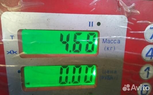 Выпускной коллектор бензиновый renault scenic 2 (1