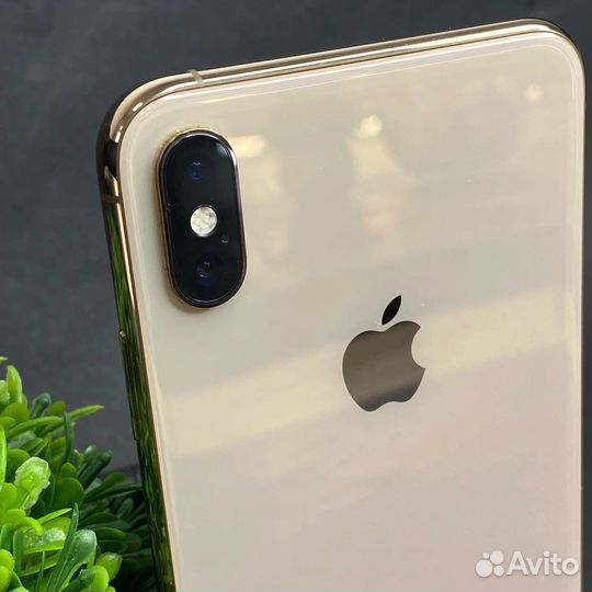 iPhone Xs, 256 ГБ