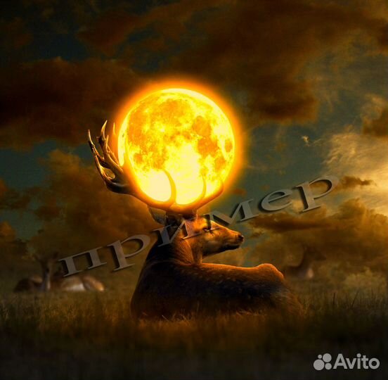 Создаю портреты, картины, коллажи, постер на заказ