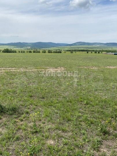 Участок 12,5 сот. (ИЖС)