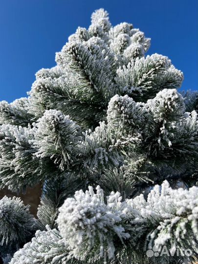 Ель искуственная заснеженная
