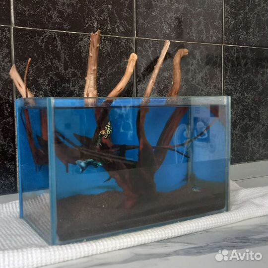 Аквариум с рыбками