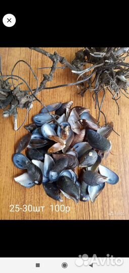 Дрифтвуд, коряги