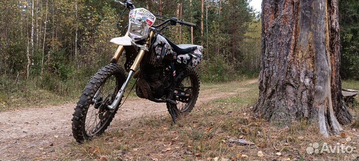 Ирбис ттр 250