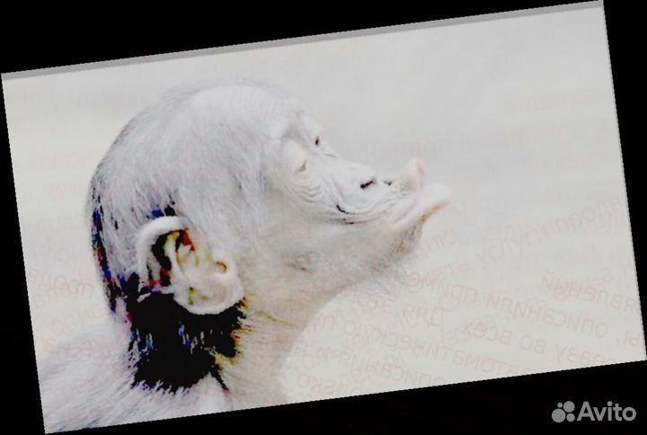 Комплектовщик Склад Еженед. опл. Спецодежда беспл