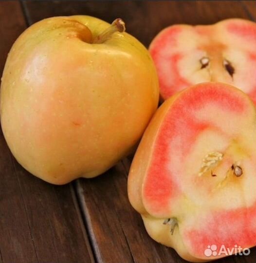 Красномясая яблоня Пинк Перл (Розовый жемчуг)