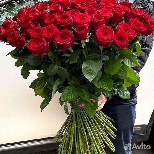 101 роза цветы букеты доставка 25 51 101 роза