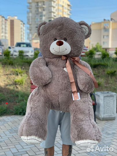 Плюшевый медведь