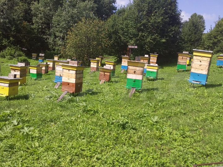 Участок 15 сот. (СНТ, ДНП)