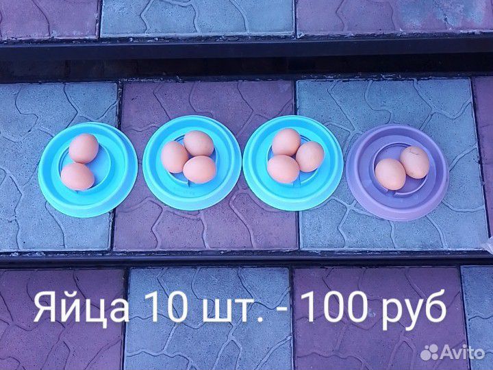 Продам товары для разведения домашней птицы