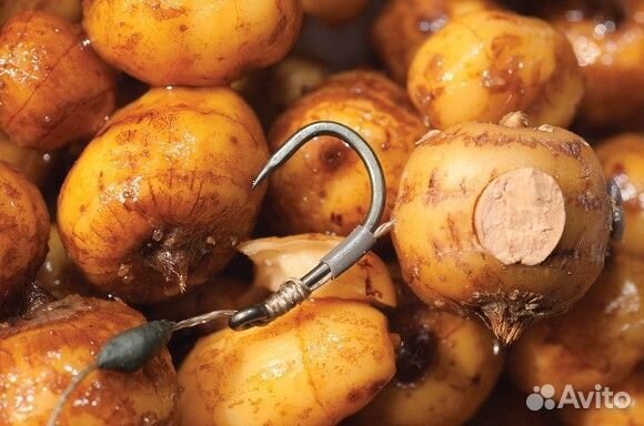 Чуфа(тигровый орех) отборный 12-16мм Испания 10кг