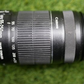 Canon EFs 55-250 со стабилизатором