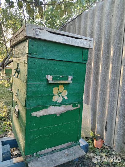 Улей для пчел бу