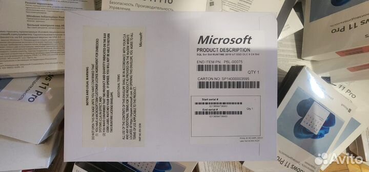 Microsoft SQL Server Standard 2019 OEM DVD 5 CLT