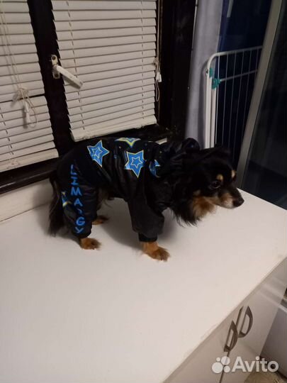 Одежда для маленьких собак.9 комбезов и ботиночки