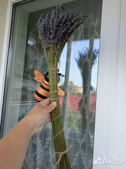 Лаванда сухоцвет букеты лаванды