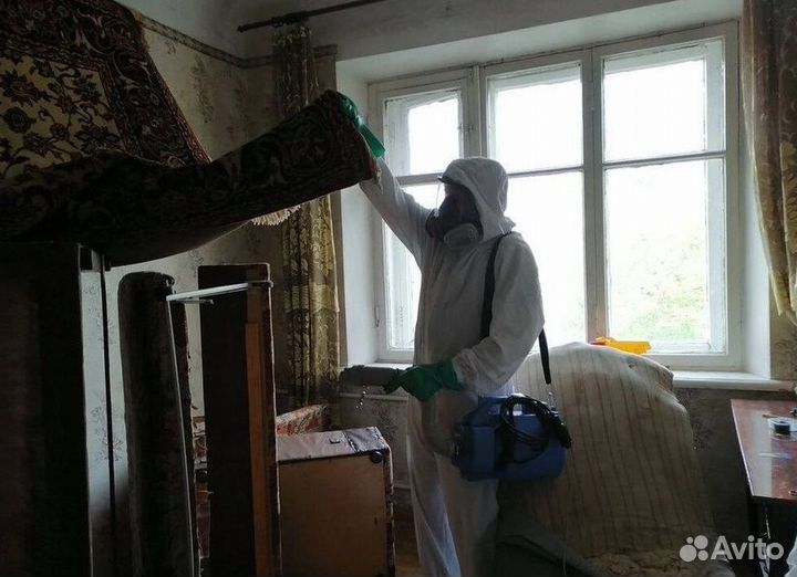 Средство для Уничтожения клопов тараканов плесени клещей