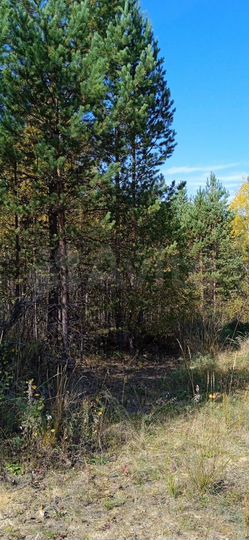 Участок 20 сот. (ИЖС)