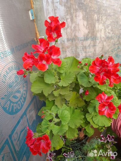 Предметы интерьера