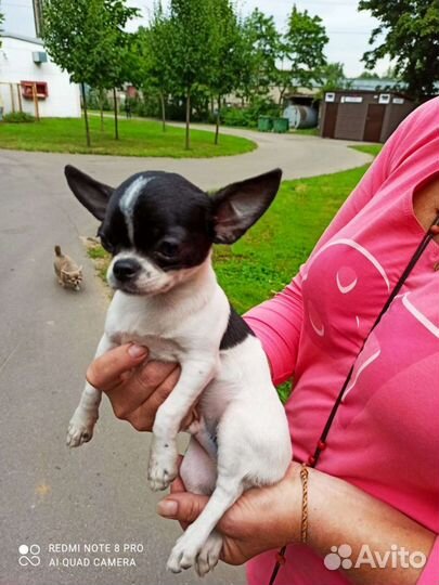 Вязка кабеля