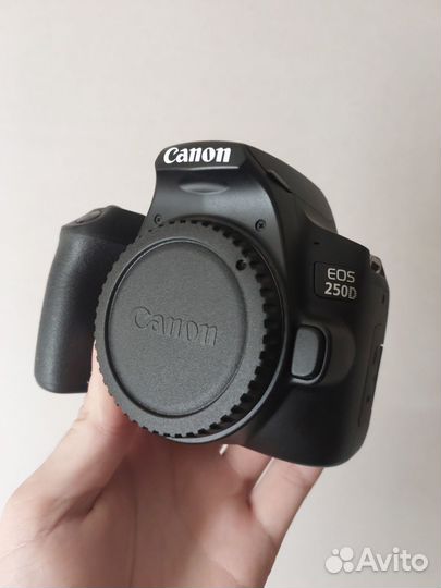 Canon EOS 250D Kit 18-55mm IS STM