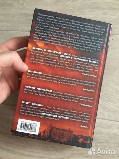 Девушка которая играла с огнём. Ларсен Стиг