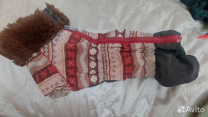 Комбинезон, пуховик для таксы на тм1 мальчик