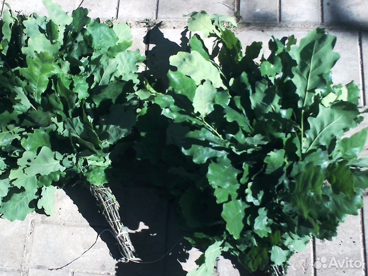 Веники для саун И бань