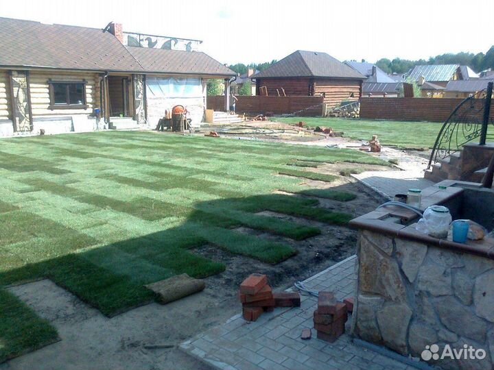 Продажа Рулонного газона