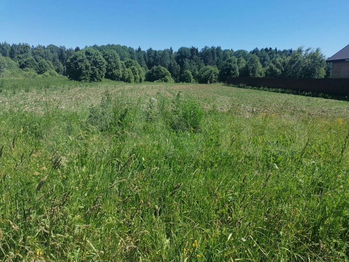 Участок 15 сот. (ИЖС)