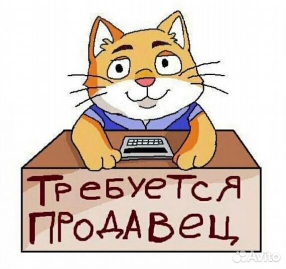 Продавец-консультант