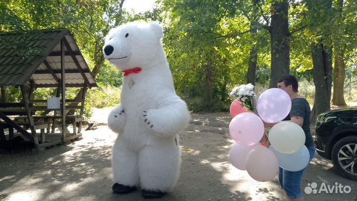 Поздравление от белого мишки