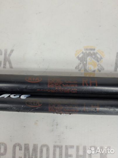 Амортизаторы стекла крышки багаж. Kia Sportage 2