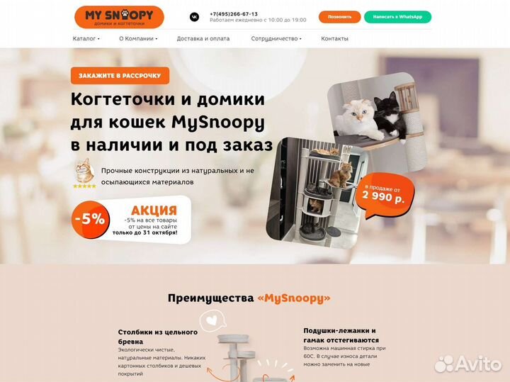 Разработка сайтов. Продвижение сайтов